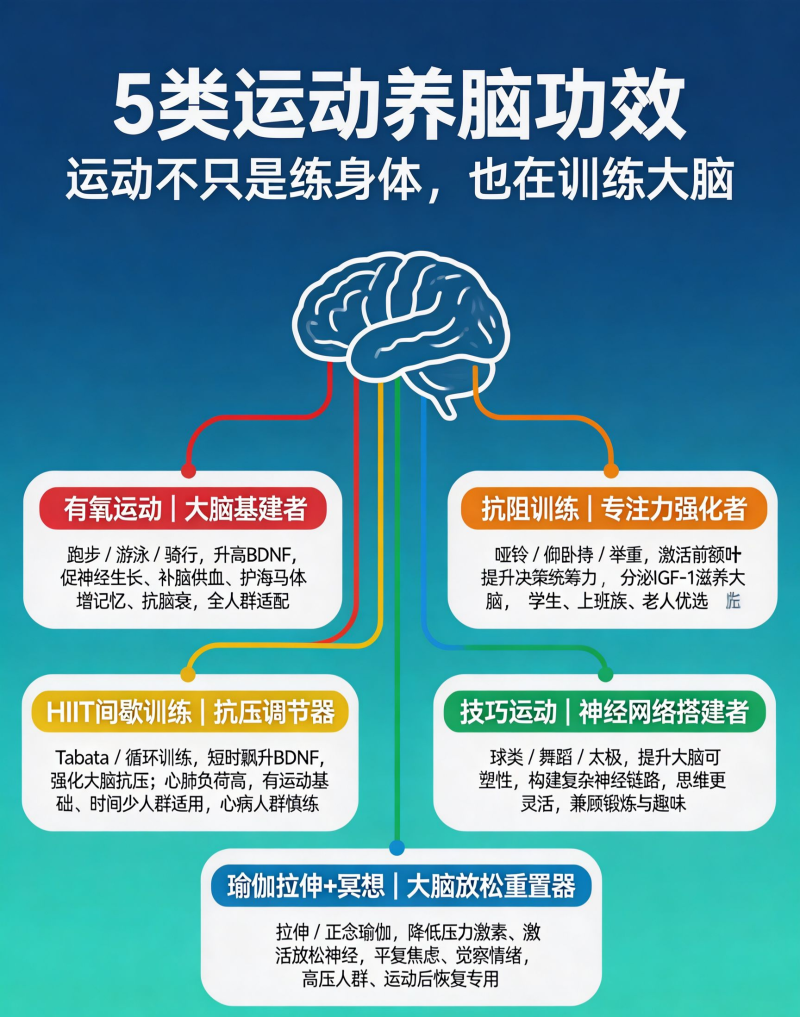 不同运动对大脑